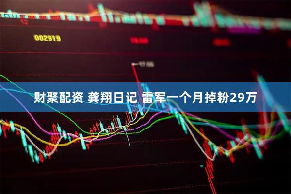 财聚配资 龚翔日记 雷军一个月掉粉29万