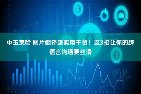 中玉束哈 图片翻译超实用干货!这3招让你的跨语言沟通更丝滑