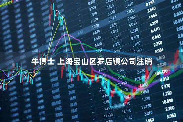 牛博士 上海宝山区罗店镇公司注销