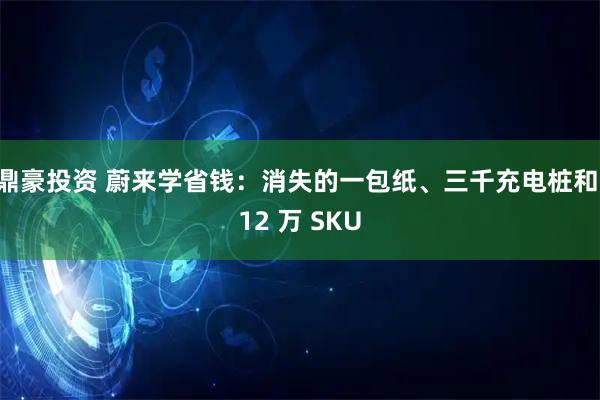 鼎豪投资 蔚来学省钱：消失的一包纸、三千充电桩和 12 万 SKU