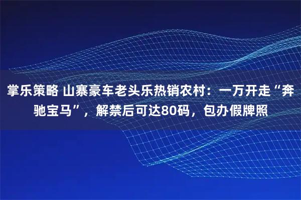掌乐策略 山寨豪车老头乐热销农村：一万开走“奔驰宝马”，解禁后可达80码，包办假牌照