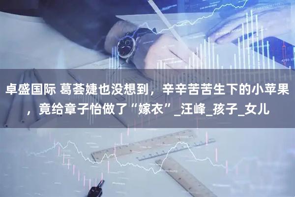 卓盛国际 葛荟婕也没想到，辛辛苦苦生下的小苹果，竟给章子怡做了“嫁衣”_汪峰_孩子_女儿