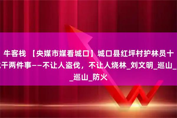 牛客栈 【央媒市媒看城口】城口县红坪村护林员十年就干两件事——不让人盗伐，不让人烧林_刘文明_巡山_防火